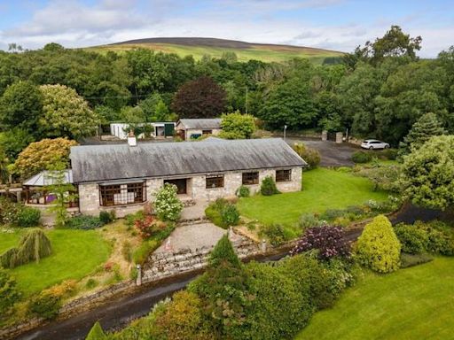 €850,000 for five-bedroom Wicklow home set on 18-acre ‘nature reserve’