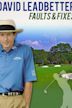 David Leadbetter: Faults and Fixes