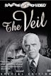 The Veil (American TV series)