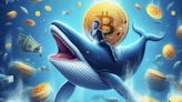 Bitcoin Thrives: Whales Accumulate Over 47K BTC Amidst Price Rally - EconoTimes