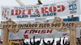 Iconic arch that served as Iditarod finish line collapses in Alaska. Wood rot is likely the culprit