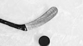 Tips of abuse mounting statewide against 'hockey doc' in Farmington Hills