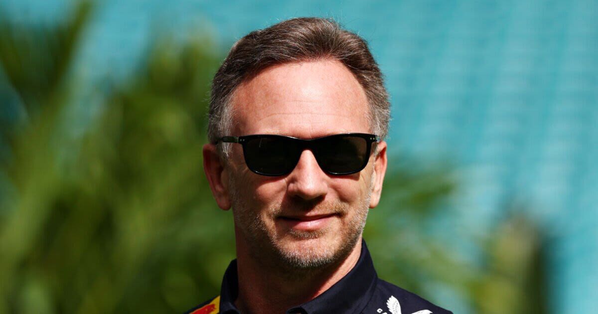 Christian Horner gets public backing from Red Bull chief who 'wanted him sacked'