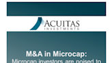 Unlock the Potential of Microcap Investments with Insights on M&A Trends - InvestmentNews