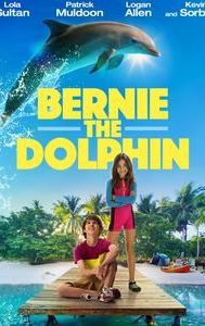 Bernie the Dolphin