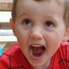 Disappearance of William Tyrrell