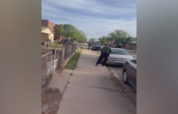 Graphic video shows dog being dragged in Winslow; animal control officer on leave