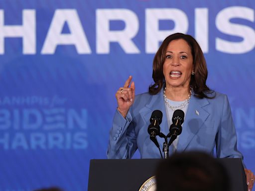 Kamala Harris Gets Poll Boost From Biden Voters