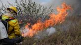 Ambientalistas contestam Estatuto do Pantanal, aprovado hoje pelo Senado ante às queimadas