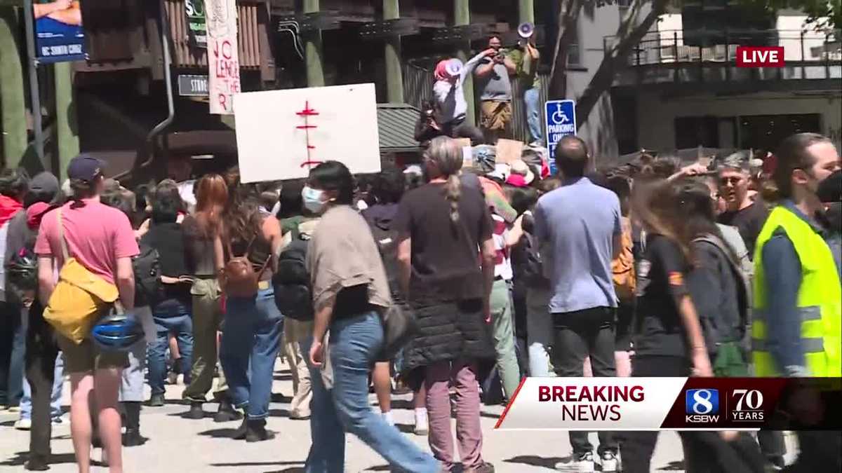 UC Santa Cruz students protest, build encampment in hopes of divestment