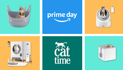 10 Best Prime Day Deals on Cat Litter Boxes