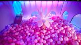 A pool of pink balloons, fantastical landscapes: Bubble Planet to open at American Dream