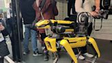 Una fuerza robot en Nueva York y otros clics tecnológicos en América