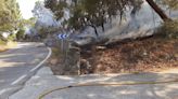 A prisión por provocar un incendio forestal en Casares(Málaga) que obligó el desalojo de una vivienda