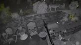 Henderson surveillance video captures coyote encounter with dog