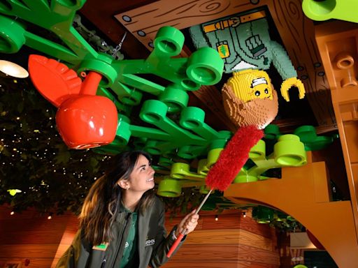 ‘I want to live at Legoland for 100 days’ - review of Legoland's new woodland village