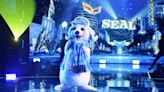 'The Masked Singer's Double Elimination Reveals a Teen Idol and 'American Idol' Legends