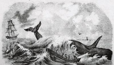El legendario cachalote blanco: un ensayo sobre Moby Dick | El Universal