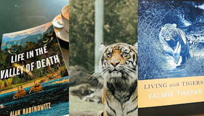 International Tiger Day 2024: 5 Engaging Books That Celebrate Our Admiration for Tigers