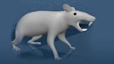 Virtual rat with artificial brain moves just like the real thing | Fox 11 Tri Cities Fox 41 Yakima