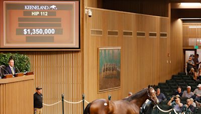 Horses selling the millions at Keeneland September Yearling Sale - WTVQ