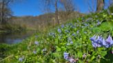 Magic of Vernon County's Tainter Creek forever protected