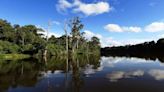 Parque Nacional del Manu: los tesoros de biodiversidad que esconde esta conocida reserva natural en Perú