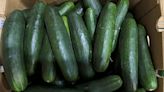 Untreated water used on cucumbers tied to salmonella outbreak that sickened 450 people