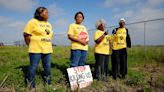 Environmental justice advocate Sharon Lavigne named '100 Most Influential People'