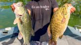 A Guide to Largemouth Bass vs Smallmouth Bass