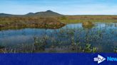 Remote Scottish peatland granted world heritage status