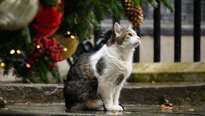 ‘Chief Mouser’ Larry the Cat Welcomes His 6th UK Prime Minister