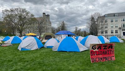 Answering readers' questions about the protest movement on US college campuses