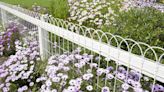 These Decorative Garden Fence Ideas Will Turn Your Yard Into an Oasis