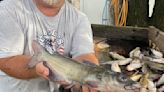 OUTDOOR COLUMN: Catfishing 'old school'