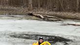 Watch: Firefighters rescue dog from frozen Illinois pond