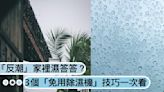 「反潮」家裡濕答答？3個「免用除濕機」乾爽小技巧一次看，還能用洗衣粉自製除濕小物