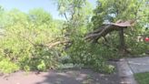 City of Leawood starts curbside storm debris pickup on Monday