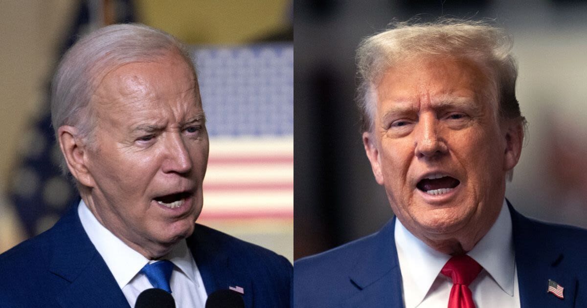 This wildcard could decide Donald Trump and Joe Biden's rematch