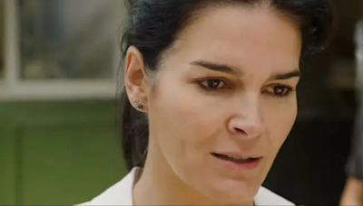 What Happened to Angie Harmon’s Dog? Instacart Incident Explained