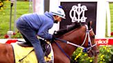 With Muth out, Saturday's Preakness Stakes seems set up for Mystic Dan - UPI.com