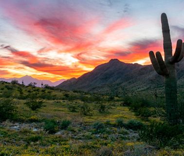 10-year-old boy dies in Arizona after hiking in triple-digit temperatures