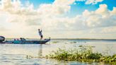 The 15 Best Things To Do In Palm Bay, Florida