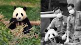飼養員趴在車箱大哭一幕太揪心，大熊貓福寶旅居韓國的故事將被拍成電影！