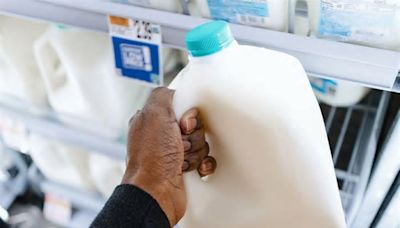 FDA Finds Traces of Bird Flu Virus in Grocery Store Milk But Says It's Still Safe