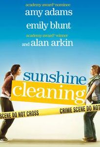 Sunshine Cleaning