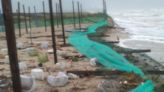 Reportan 35 mil huevos de tortuga Lora arrastrados por tormenta “Alberto” en Tamaulipas