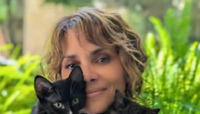 Halle Berry Celebrates Her Rescue Cats and 'Catwoman' With Spicy Instagram Snap