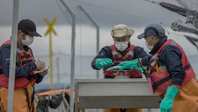 Exportaciones chilenas de salmón subieron en volumen en el primer trimestre, pero no repuntaron en montos - La Tercera