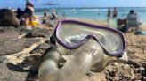 Michigan family files lawsuit against Hawaii tourism authority over snorkeling dangers after long flights